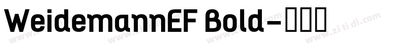 WeidemannEF Bold字体转换